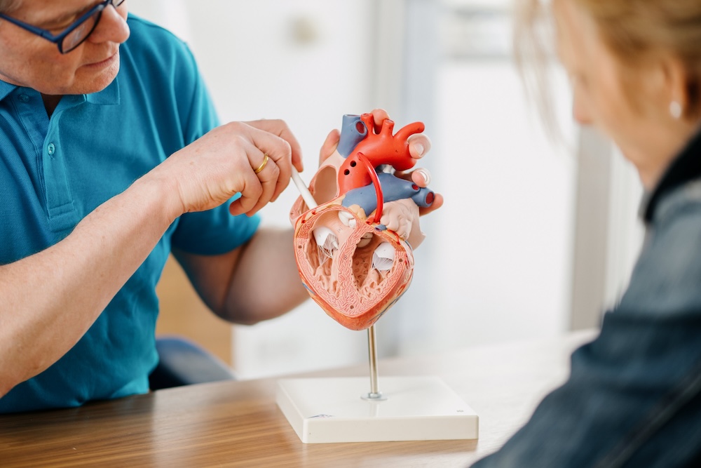 hausarzt-wiesbaden-kardiologie- leistungsseite-kardiologie---herzklappe-v2