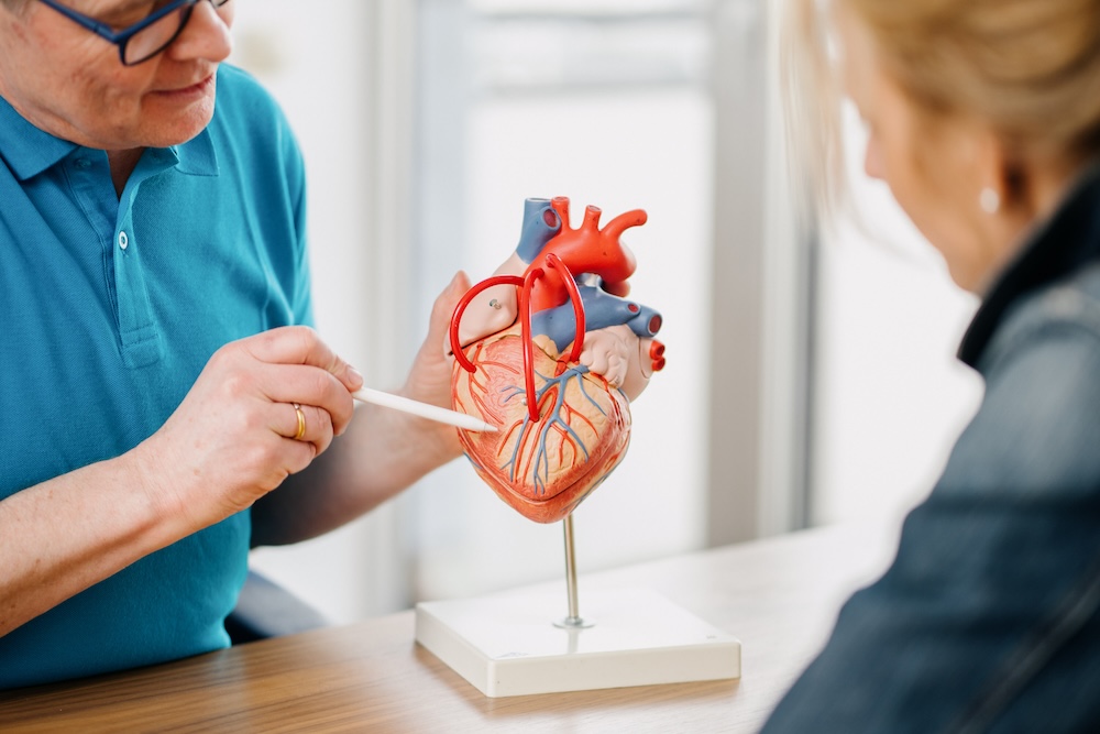 hausarzt-wiesbaden-kardiologie- leistungsseite-kardiologie---herzkranzgefa-sse-v1