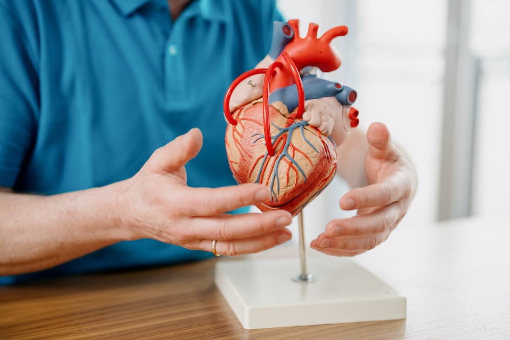 hausarzt-wiesbaden-kardiologie- leistungsseite-vorsorge---herz-check-v4